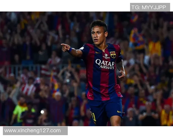 内德维德：从足球场上的闪耀明星到传奇人生的启示