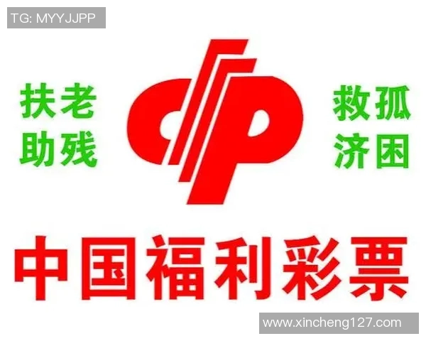 中国足球彩票所涉及的各大球队及其影响力分析与发展前景探讨